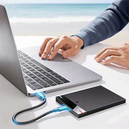Externe tragbare SSD-Festplatte 320GB USB schlankes Speicher-Backup