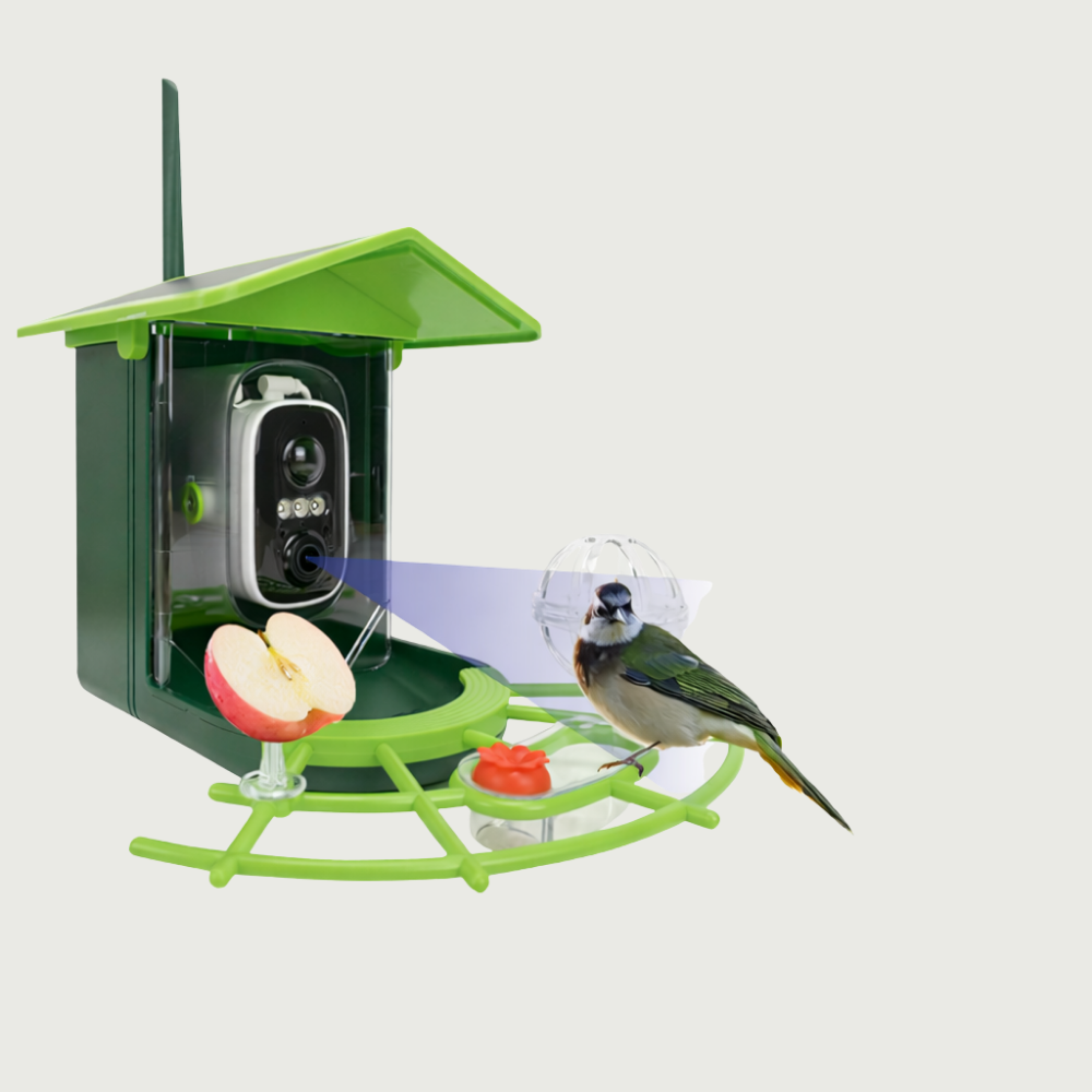 Cámara para Comedero de Pájaros Exterior Inteligente HD Controlada por Aplicación