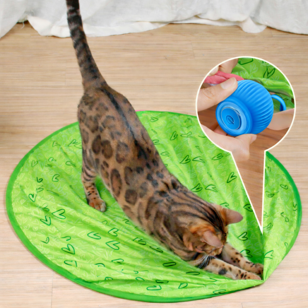 Brinquedo Interativo para Gato Bola Inteligente Rolante para Jogo Interior