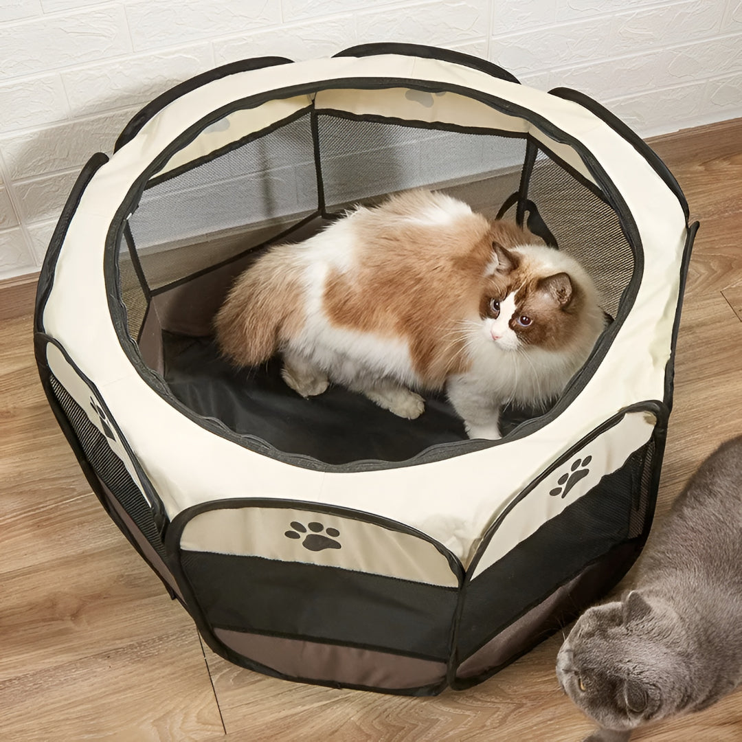 Recinto per gatti pieghevole in rete, tenda portatile per animali domestici