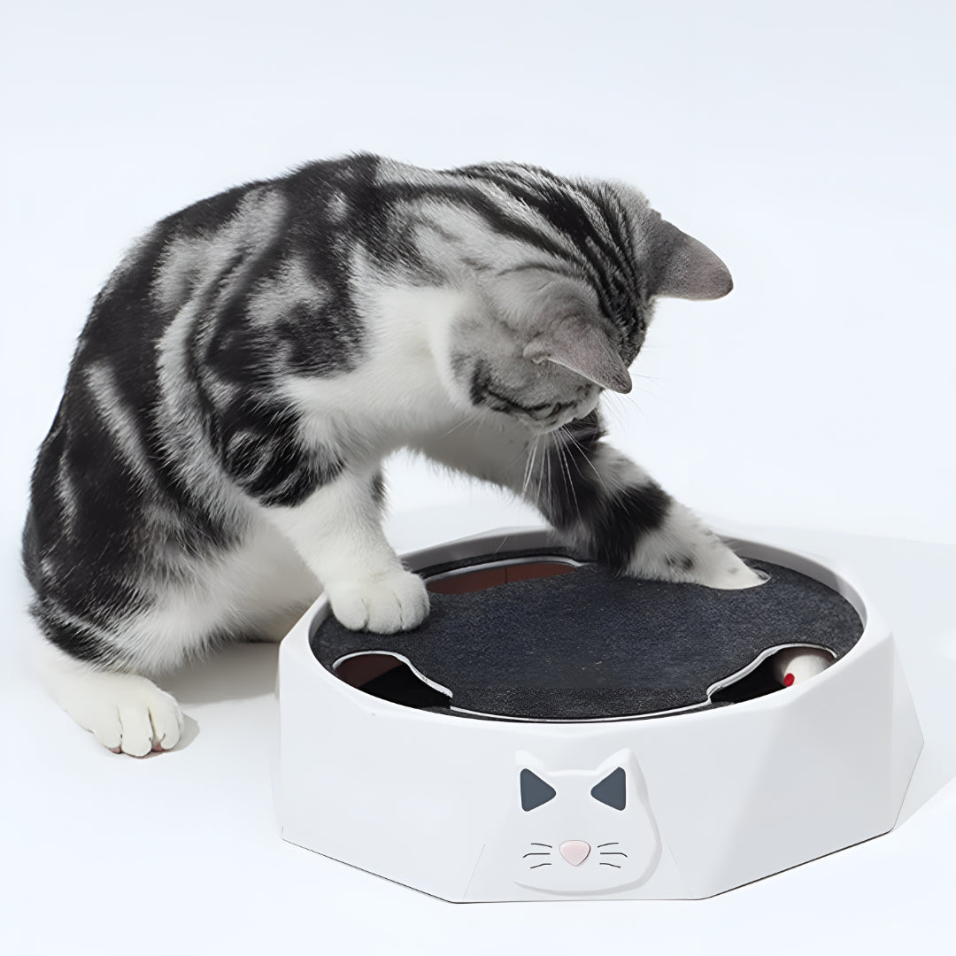 Katzen-Spielzeug Kratzmatte Interaktives Maus-Aktivitätszentrum