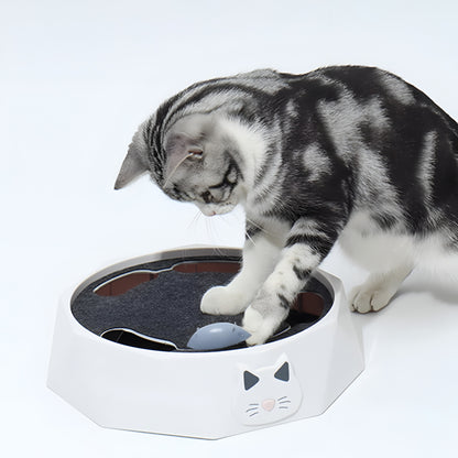Katzen-Spielzeug Kratzmatte Interaktives Maus-Aktivitätszentrum