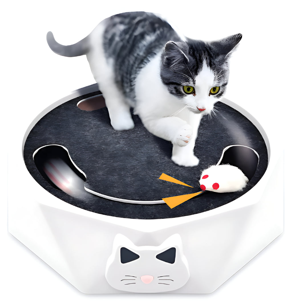 Katzen-Spielzeug Kratzmatte Interaktives Maus-Aktivitätszentrum