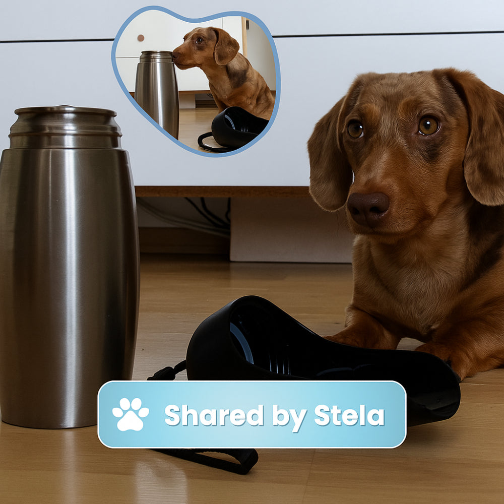 Hundewasserflasche aus Edelstahl Reise-Trinkbehälter