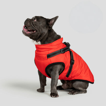 Hundejacke Winter Außen Haustiermantel