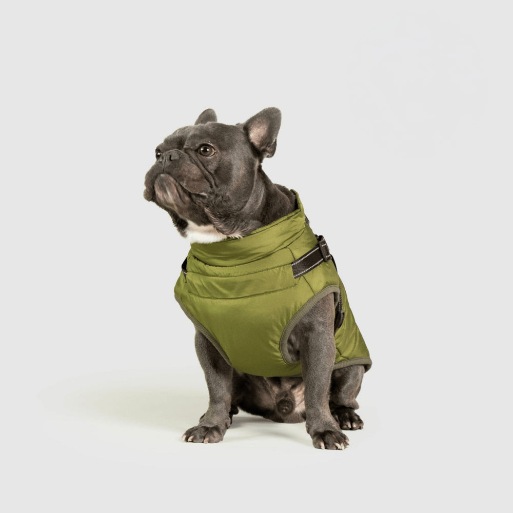 Hundejacke Winter Außen Haustiermantel