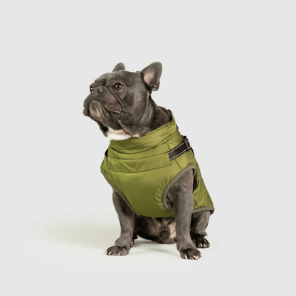 Hundejacke Winter Außen Haustiermantel
