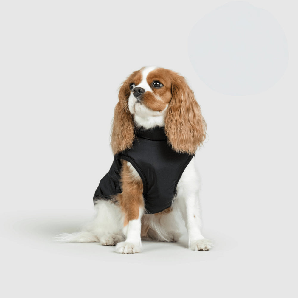 Hundejacke Winter Außen Haustiermantel