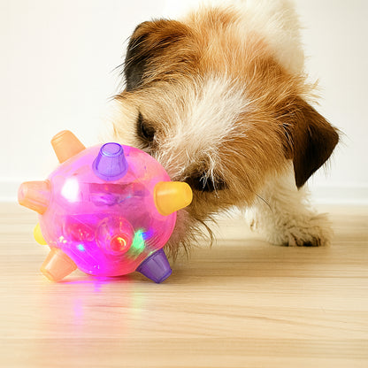 Gioco per cane palla saltellante interattiva in plastica e gomma con luce LED