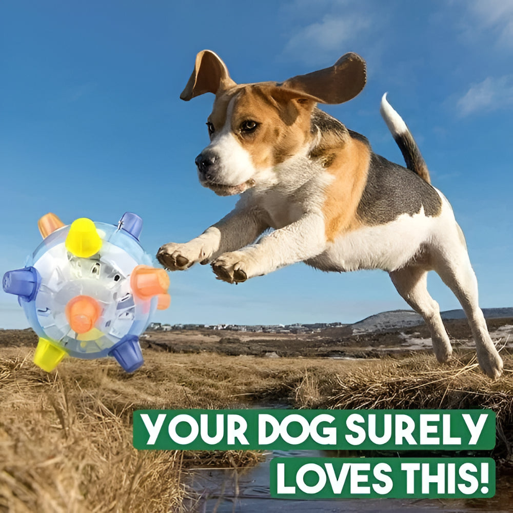 Gioco per cane palla saltellante interattiva in plastica e gomma con luce LED