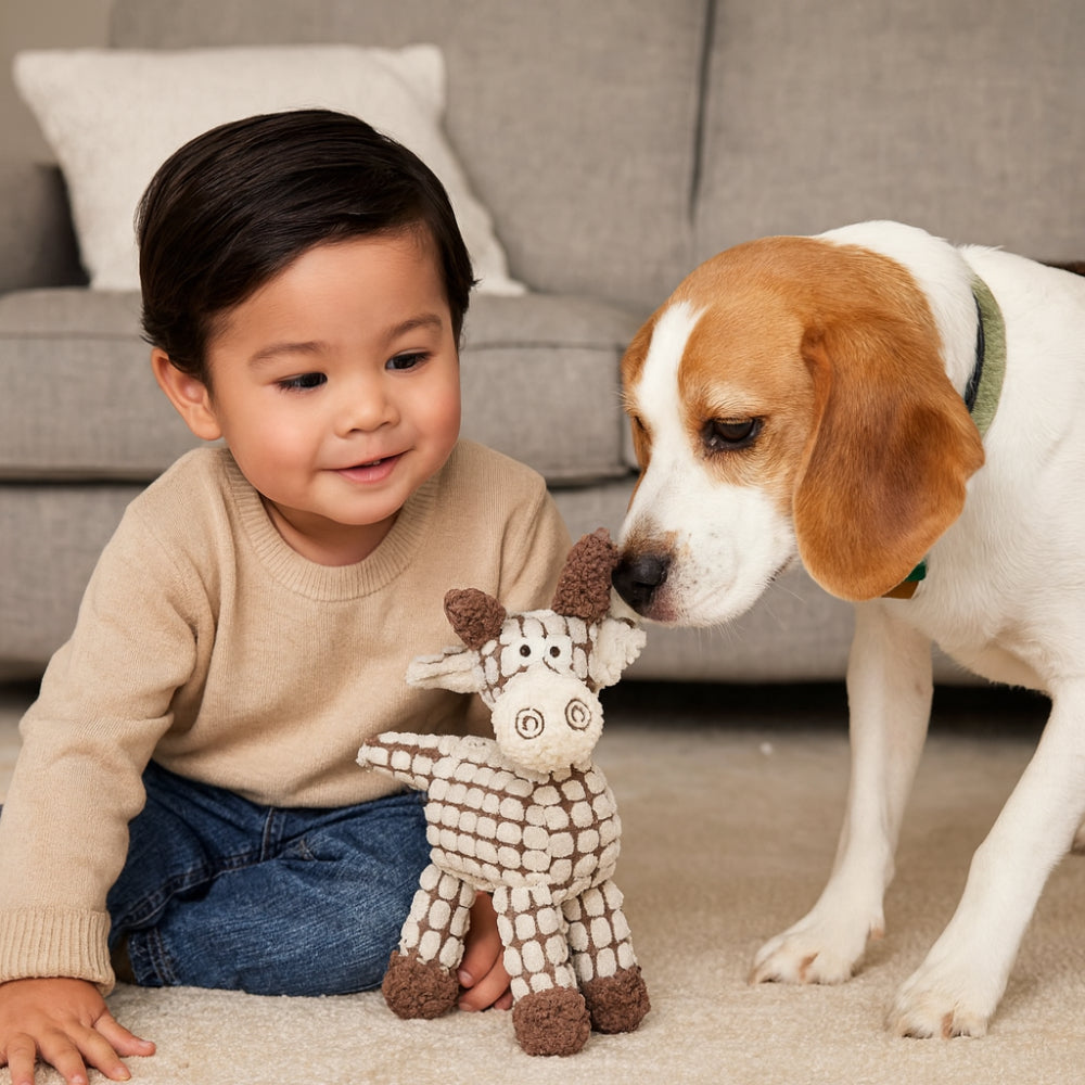 Juguete para Perro Cuerda Animal Mordedor con Chiflo