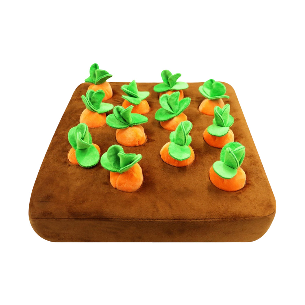 Tappeto Annusa Cane Gioco Interattivo per Nascondere Bocconcini