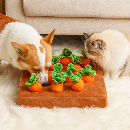 Tappeto Annusa Cane Gioco Interattivo per Nascondere Bocconcini