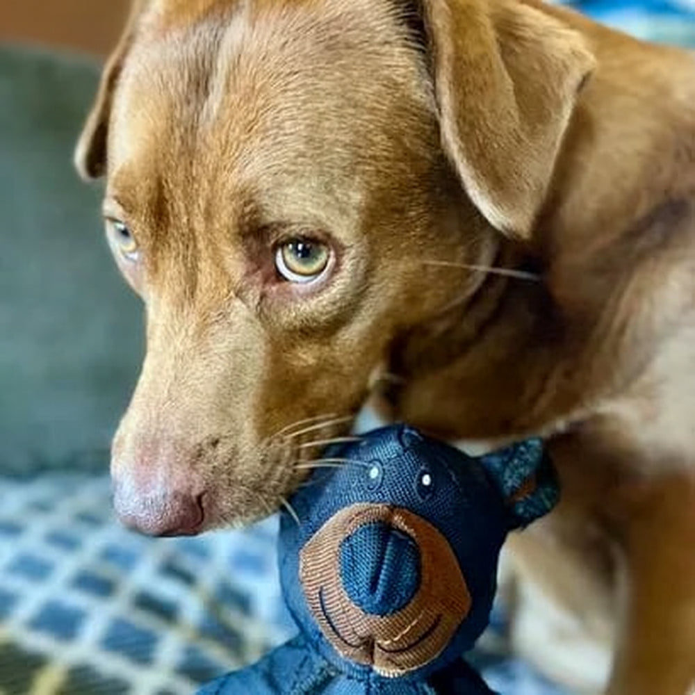 Hundekauspielzeug langlebig Plüsch Bärenform Spielzubehör