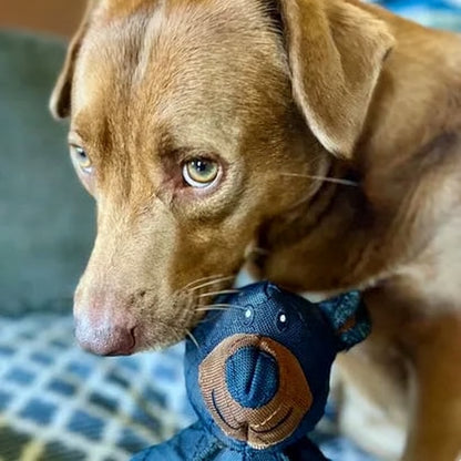 Hundekauspielzeug langlebig Plüsch Bärenform Spielzubehör