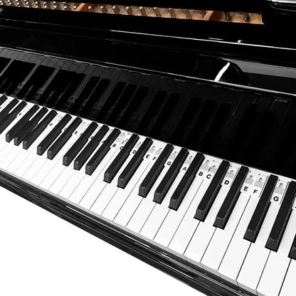 Autocolantes para Teclado de Piano Silicone Etiquetas de Notas Aprendizagem de Teclas