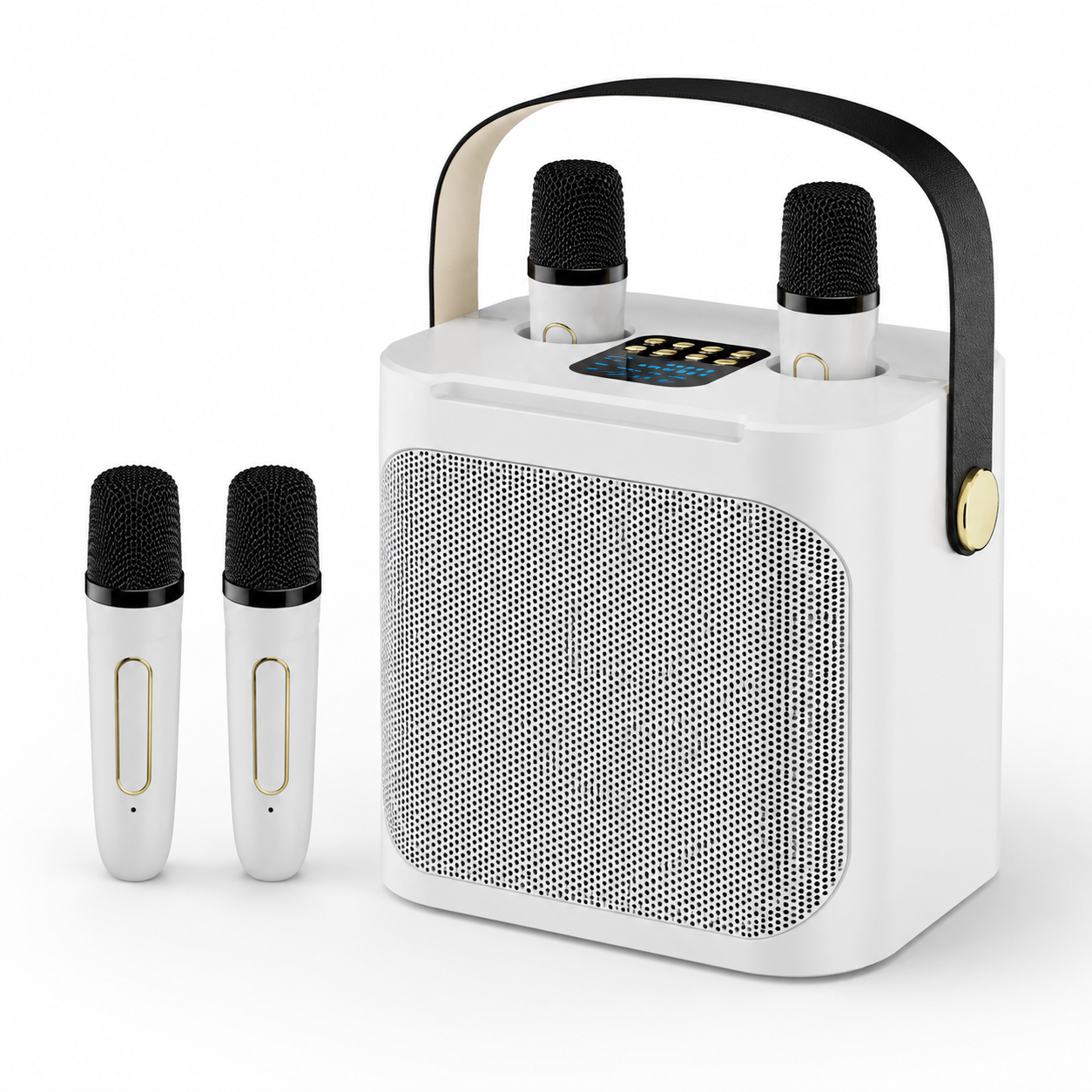 Altoparlante portatile per karaoke, microfoni wireless e display LED