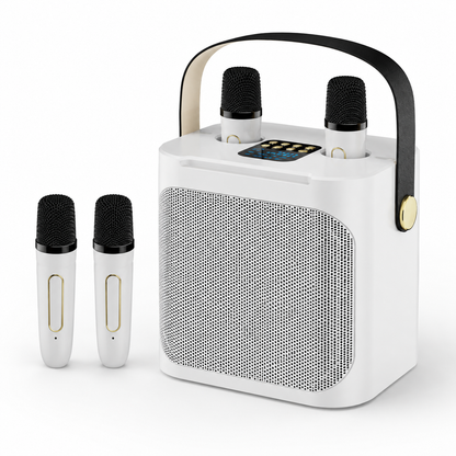 Altoparlante portatile per karaoke, microfoni wireless e display LED