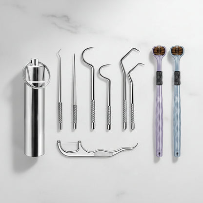 Scobitori Metal Reutilizabile Set Cutie Portabilă Curățare Dinți