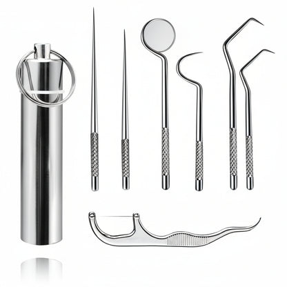 Scobitori Metal Reutilizabile Set Cutie Portabilă Curățare Dinți