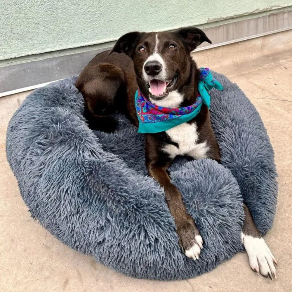 Anxiety Relieving Plush Dog Bed Calming Comfort - Image 2