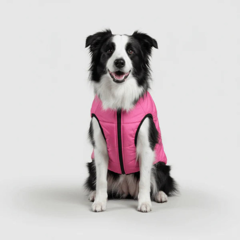 Hundejacke Winter Außen Haustiermantel