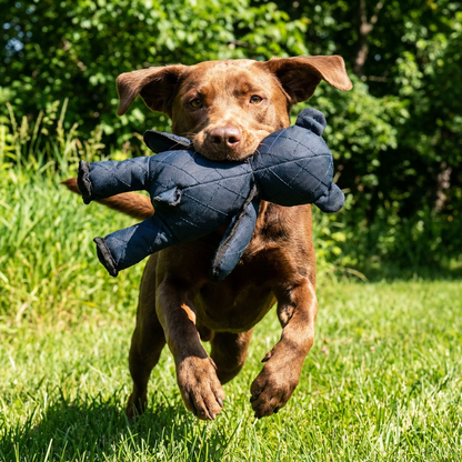 Gioco Cane Peluche Resistente Interattivo Orso Masticabile