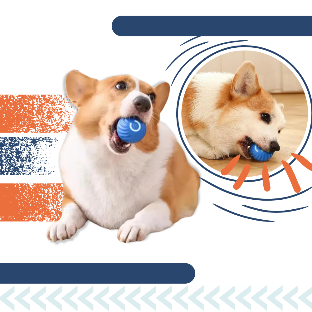 Interactive Dog Toy Durable Ball Engaging Playtime Fun - Image 4