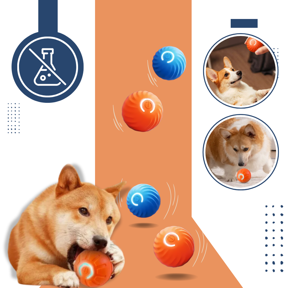 Interactive Dog Toy Durable Ball Engaging Playtime Fun - Image 5