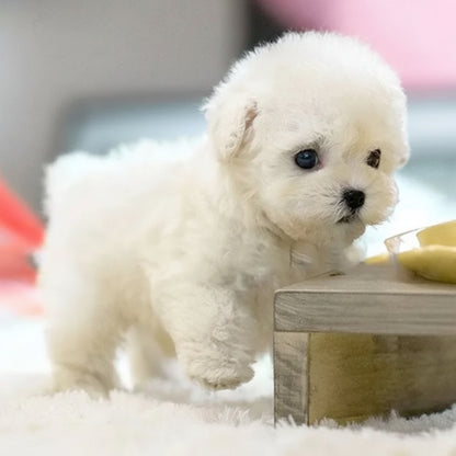 Interactive Dog Toy Robotic Puppy Lifelike Companion - Image 2