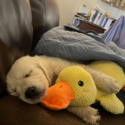 Brinquedo Calmante para Cão com Som de Pato para Mastigar e Brincar