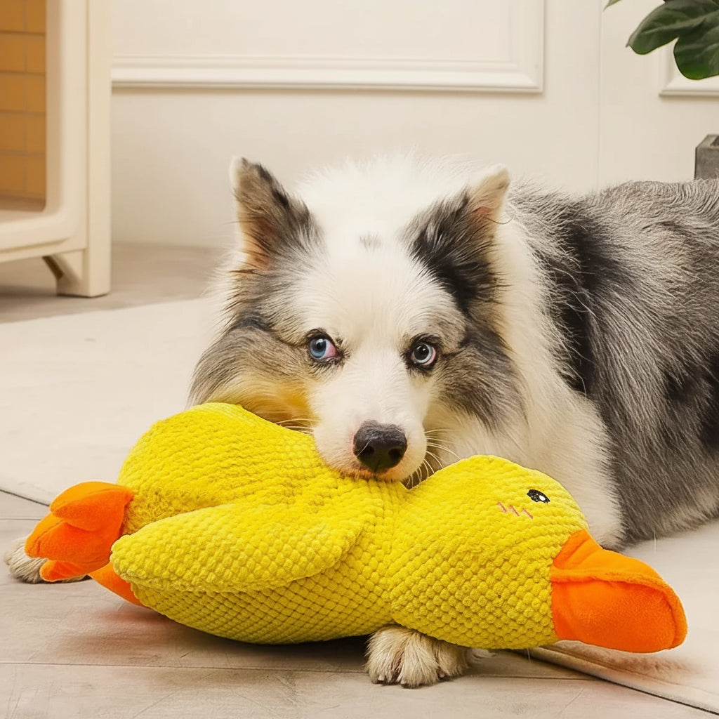 Brinquedo Calmante para Cão com Som de Pato para Mastigar e Brincar