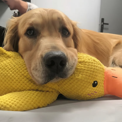 Brinquedo Calmante para Cão com Som de Pato para Mastigar e Brincar