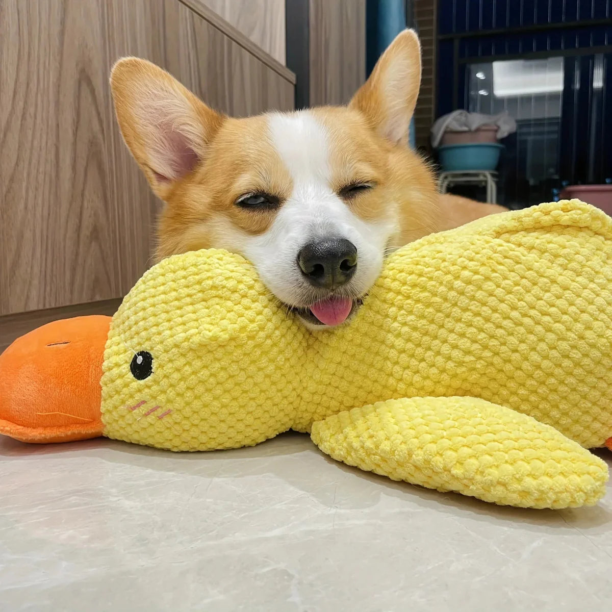 Brinquedo Calmante para Cão com Som de Pato para Mastigar e Brincar