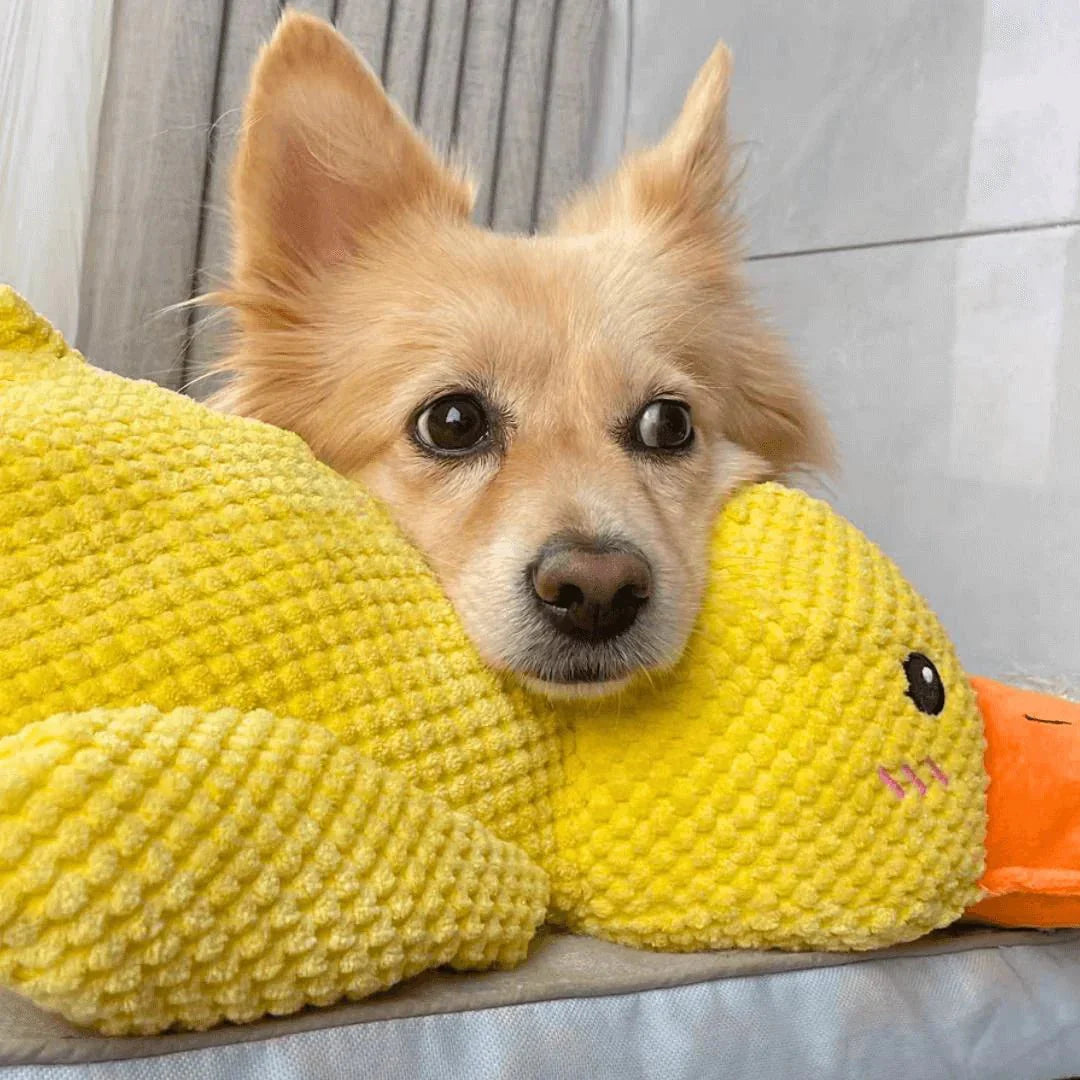 Brinquedo Calmante para Cão com Som de Pato para Mastigar e Brincar