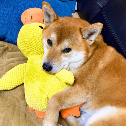 Brinquedo Calmante para Cão com Som de Pato para Mastigar e Brincar