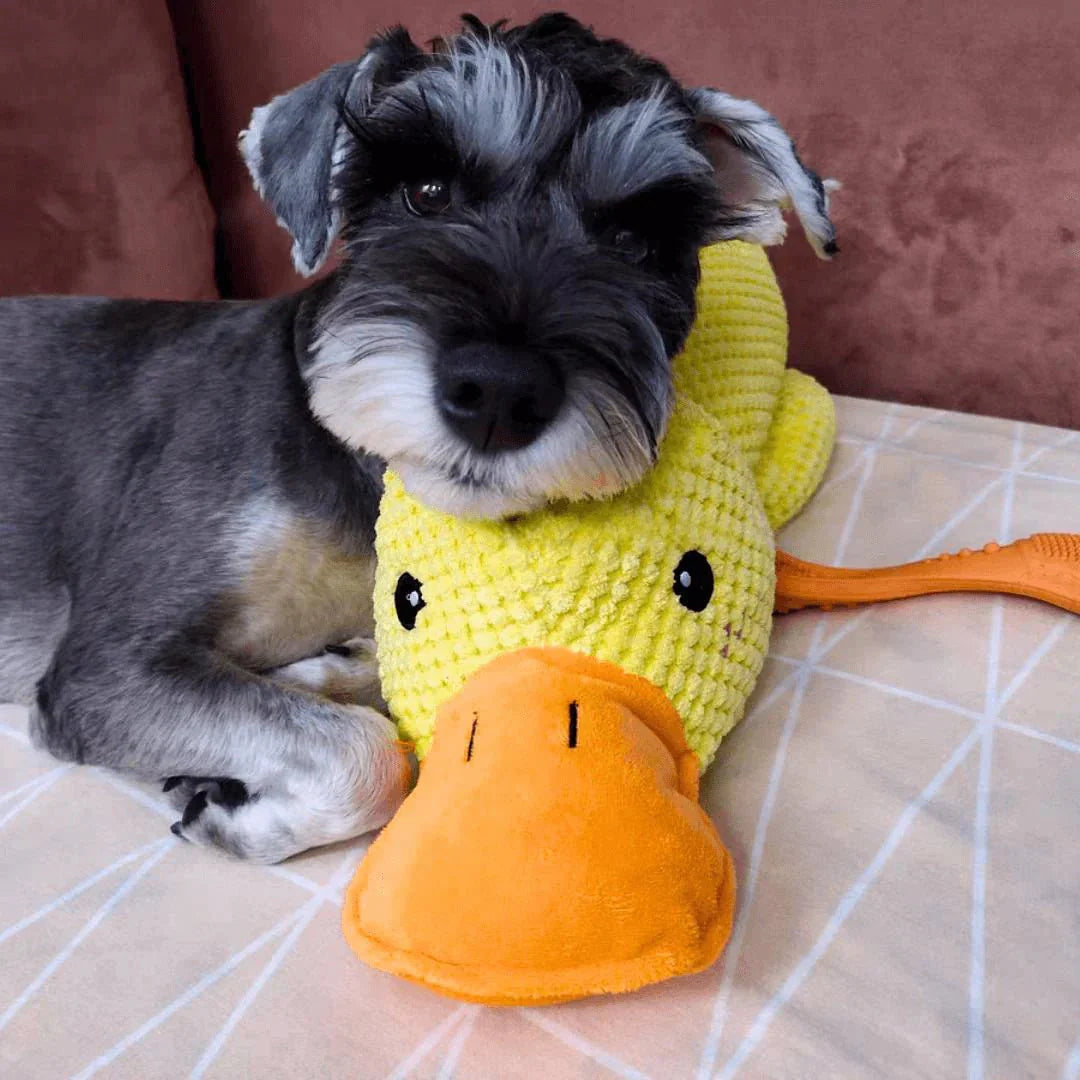 Brinquedo Calmante para Cão com Som de Pato para Mastigar e Brincar