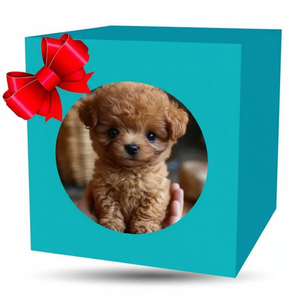 Robotic Puppy Robot Dog Toy Interactive Play Companion - Image 2